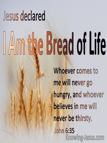 John 6:35 I Am The Bread Of Life Whoever Comes To Me Will Never Hinger Or Thirst  (gray)